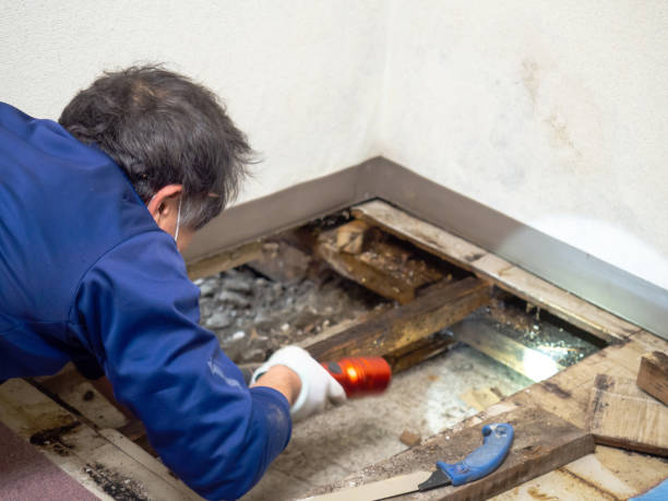 Best Crawl Space Mold Removal  in Abbeville, GA