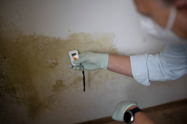 Water Damage Restoration in Abbeville, GA