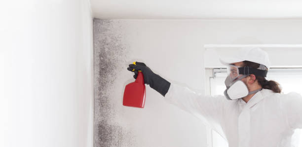 Best Home Mold Removal  in Abbeville, GA