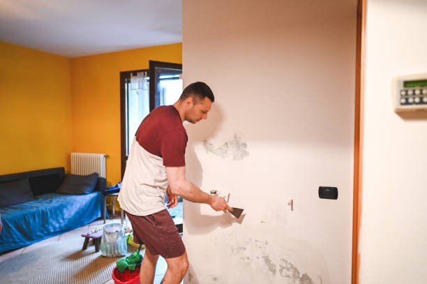 Best Same-Day Mold Removal  in Abbeville, GA